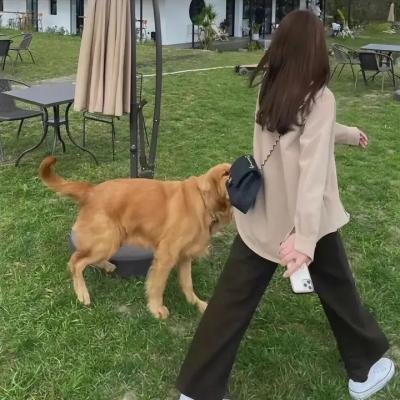 黑白无间